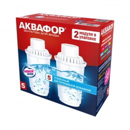 Сменный модуль В5 (В100-5) защита от бактерий (комплект из 2-х штук) в Россоше